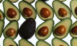 Superfood avocado